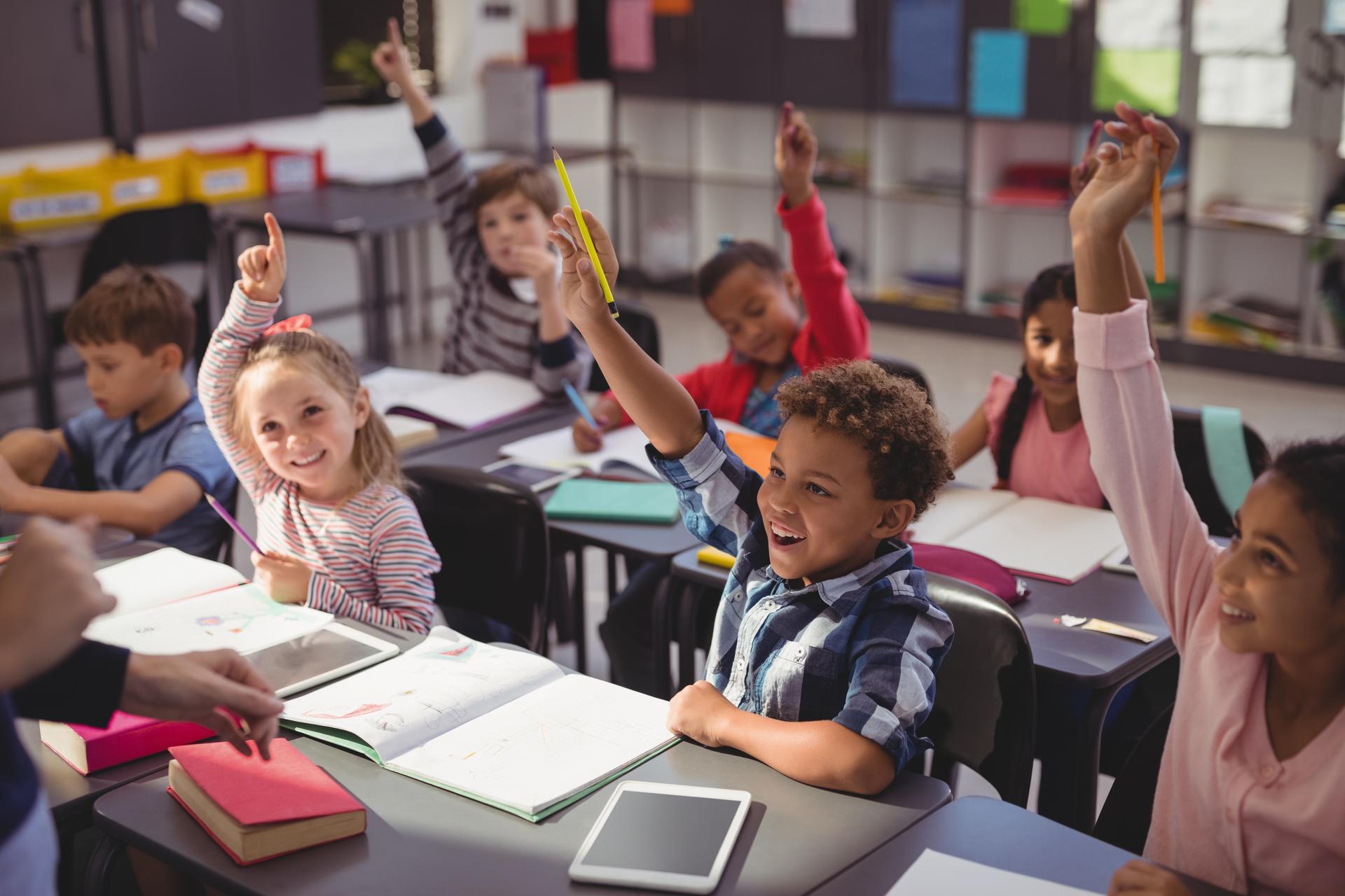 lavagne interattive Newline per la scuola - LF Impianti